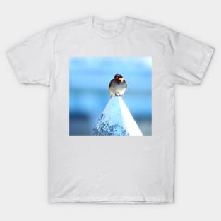 Welcome Swallow T-Shirt